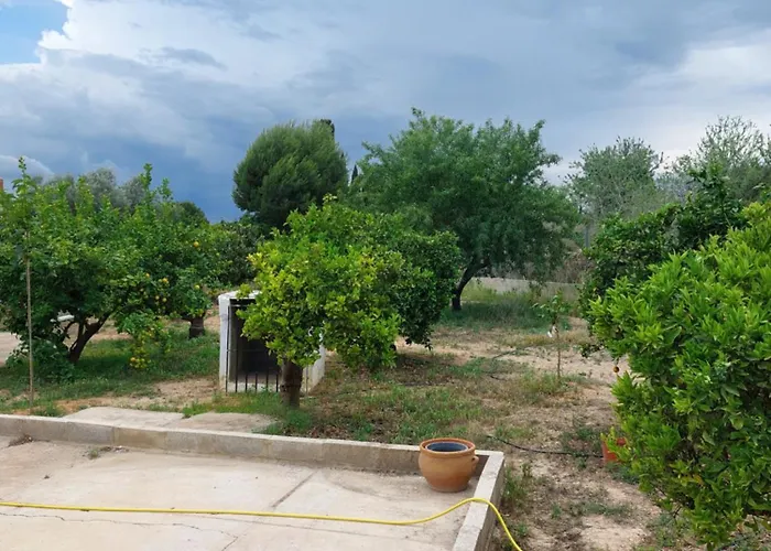 Les Berreries * Montroi (Montroy)