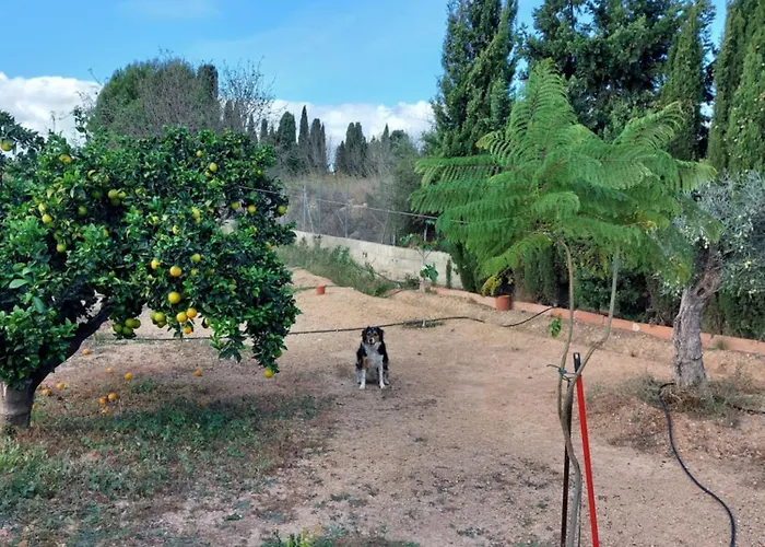 Les Berreries Montroy